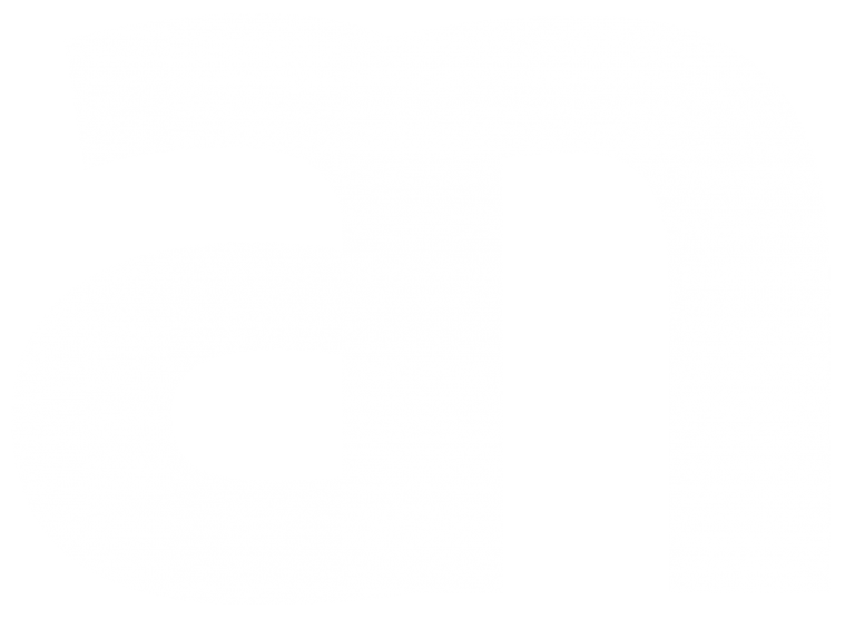 agnelnieves-logo